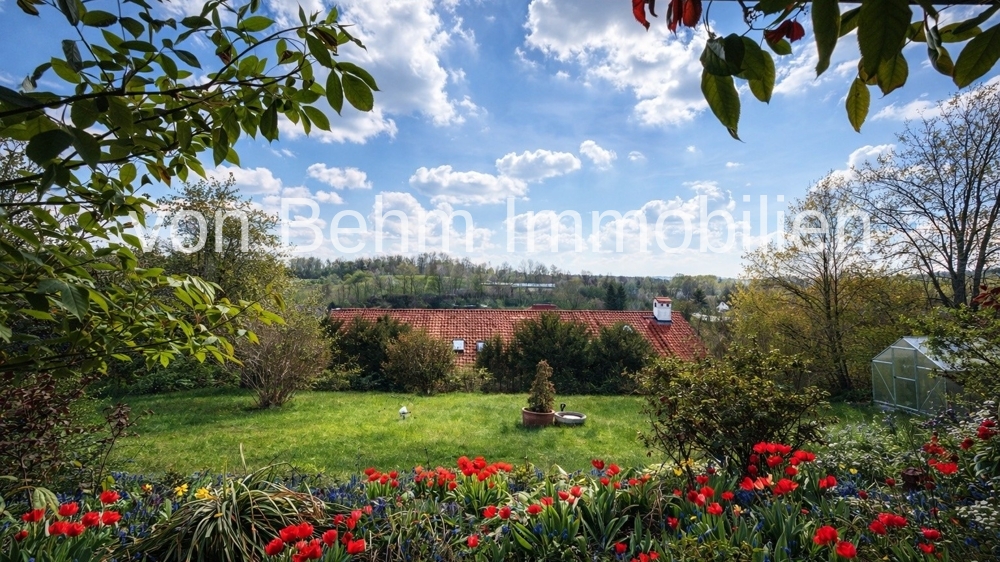 V023-2025_Blick von der Terrasse